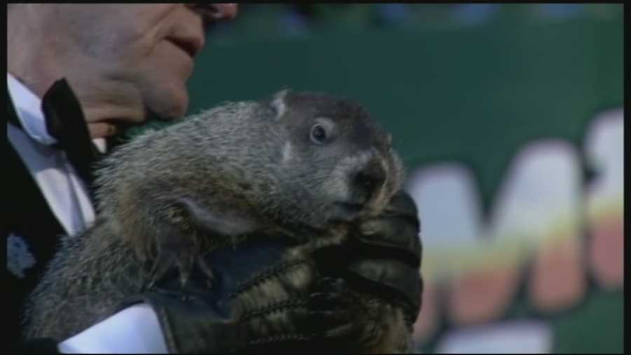 Merrimack police say they'll extradite Punxsutawney Phil, whenever he is found. WMUR's Jean Mackin reports.
