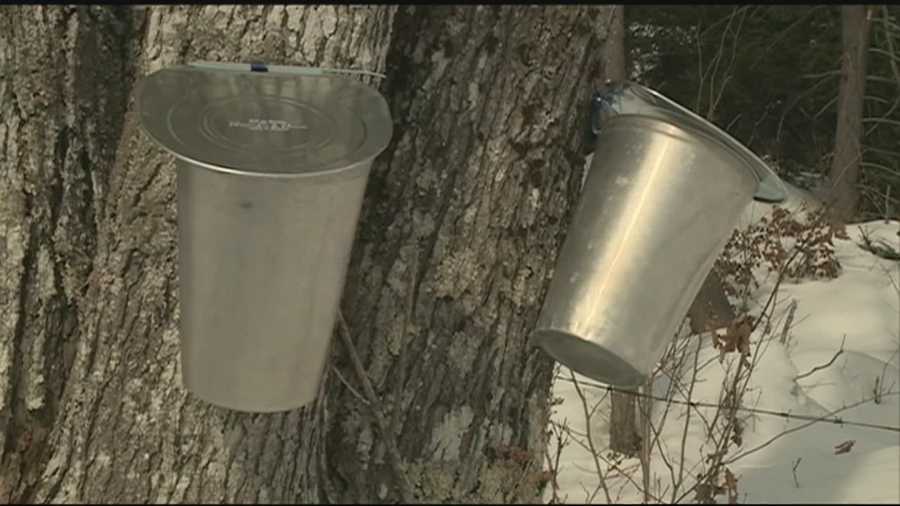 It’s sometimes referred to as the sweetest time of year in the Northeast. From mid-February to mid-April, sugar shacks are boiling away to make maple syrup. WMUR's Jennifer Crompton reports.