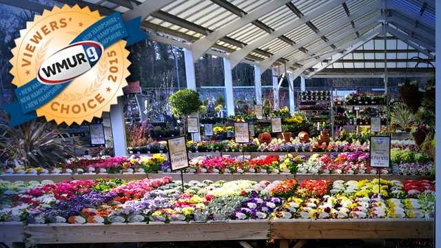 With warm weather (hopefully) around the corner, we asked our viewers where to find the best garden center in the Granite State. Take a look at the top responses!