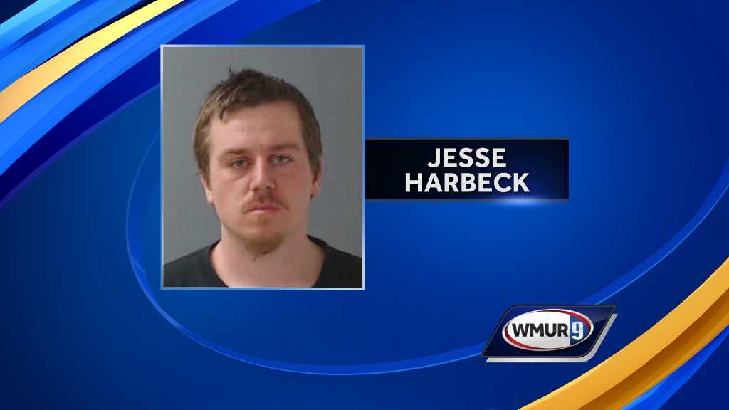 Goffstown boy catches burglar inside home, police say