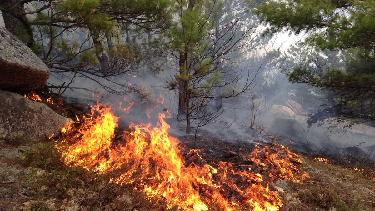 Images: Spring brush fires burn across New Hampshire