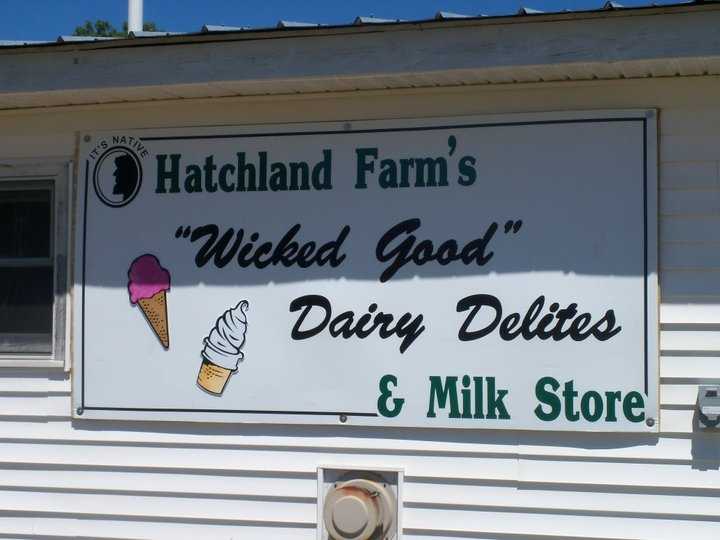 Viewers' Choice 2015 Best ice cream in New Hampshire