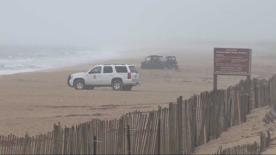 The body of an adult female was discovered on Plum Island on Sunday morning.