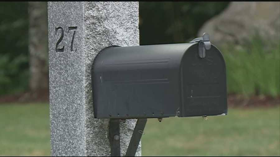 A pair of Honda airbags were placed inside two mailboxes in Hooksett this week, and police said they could have released powerful explosion.
