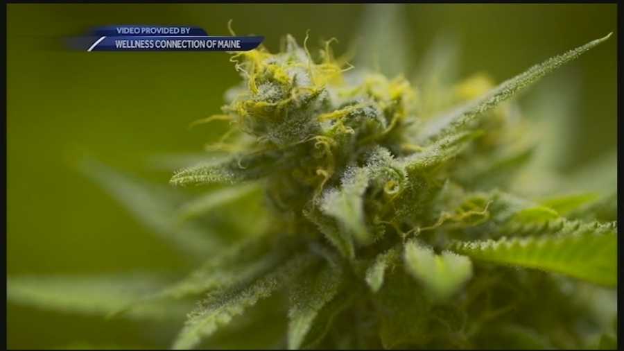 Maine gives example of how medical marijuana may work in NH