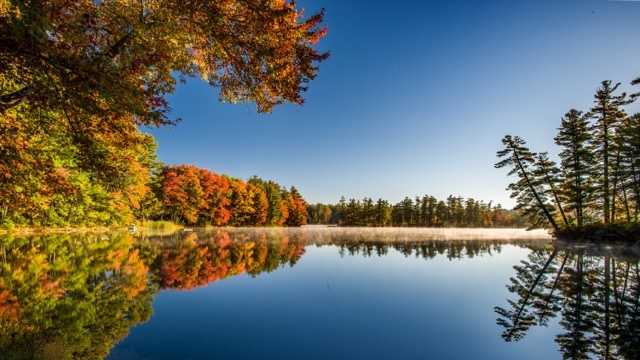 NH unveils new fall foliage tracker