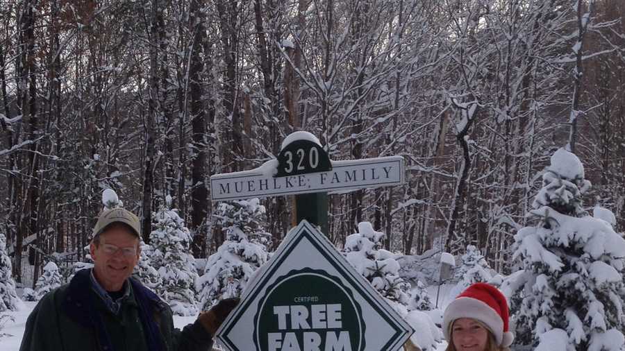 Christmas tree farm will make donations for conservation