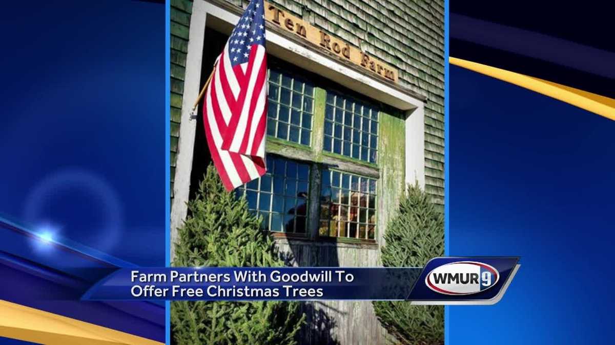Rochester farm offers Christmas trees to those in need