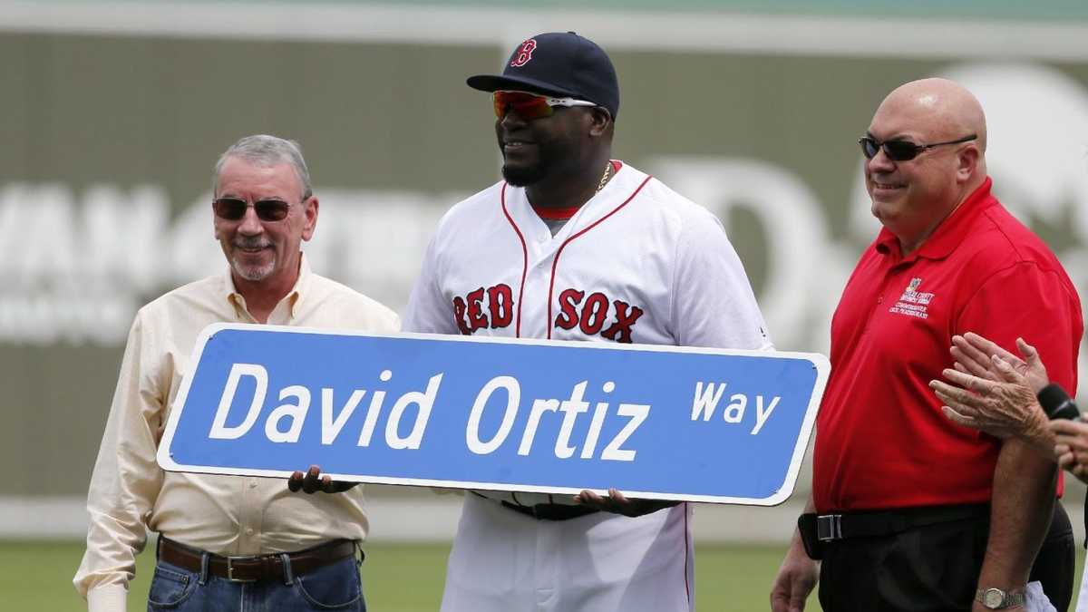 David Ortiz  The Baseball Codes