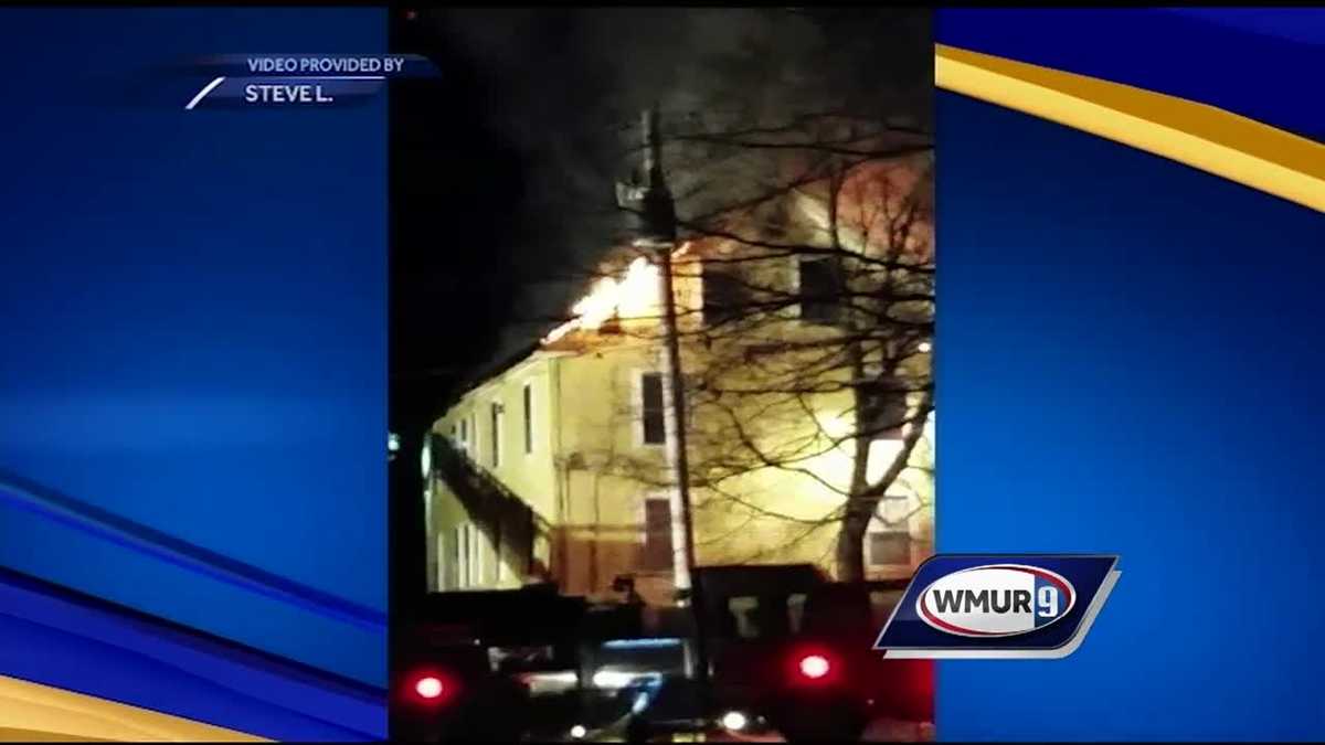 Service dog killed in Troy 3-alarm fire