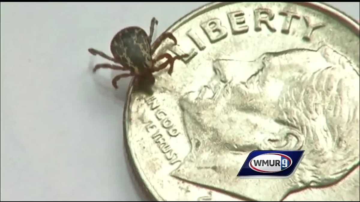 Tick populations expected to increase this season - Tick And Flea Populations In Areas With High Heron Activity