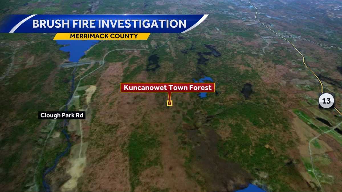 Dunbarton police, fire investigating brush fire