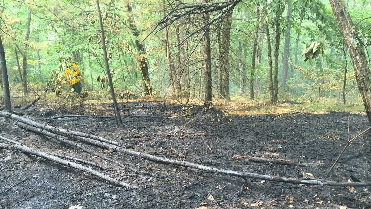 Images Brush fire in Hooksett