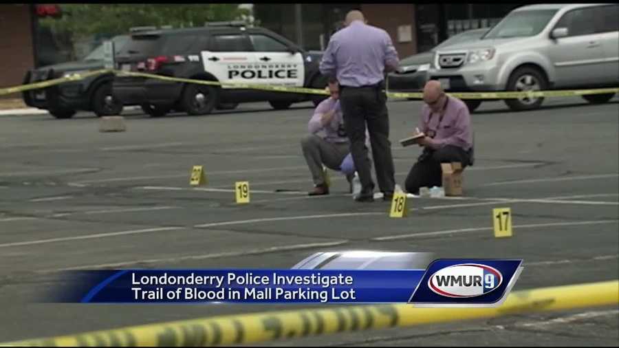 The Crossroads Mall parking lot was turned into a potential major crime scene on Friday, as police try to figure out the source of a pool of blood.