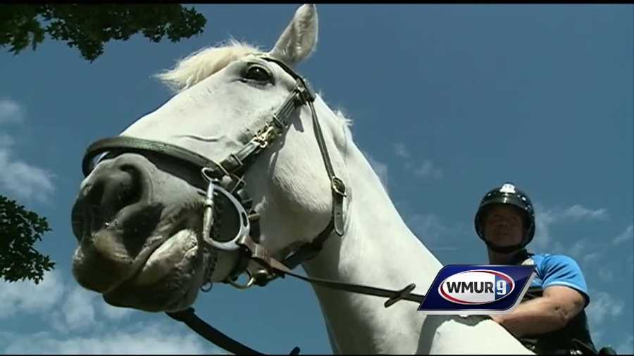 A longtime member of Dover's mounted police patrol is calling it a career.