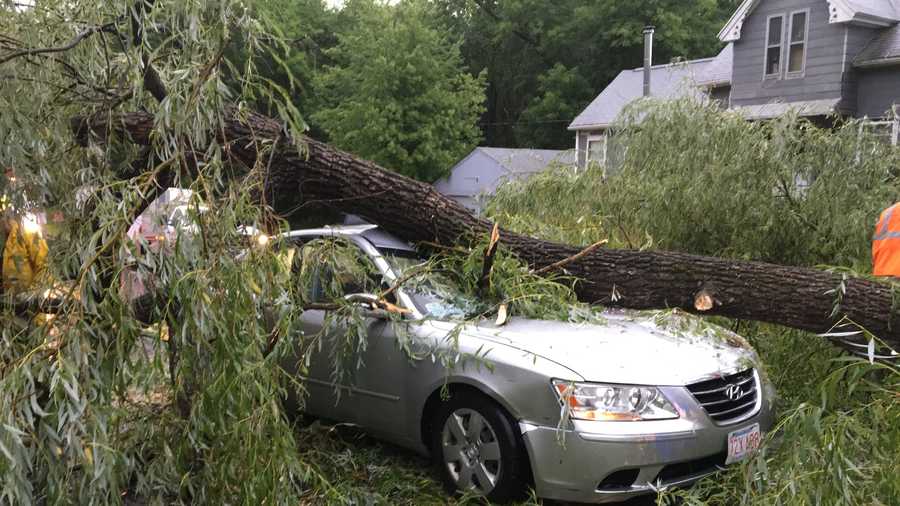 Storms knocked over a tree onto a car in Candia.