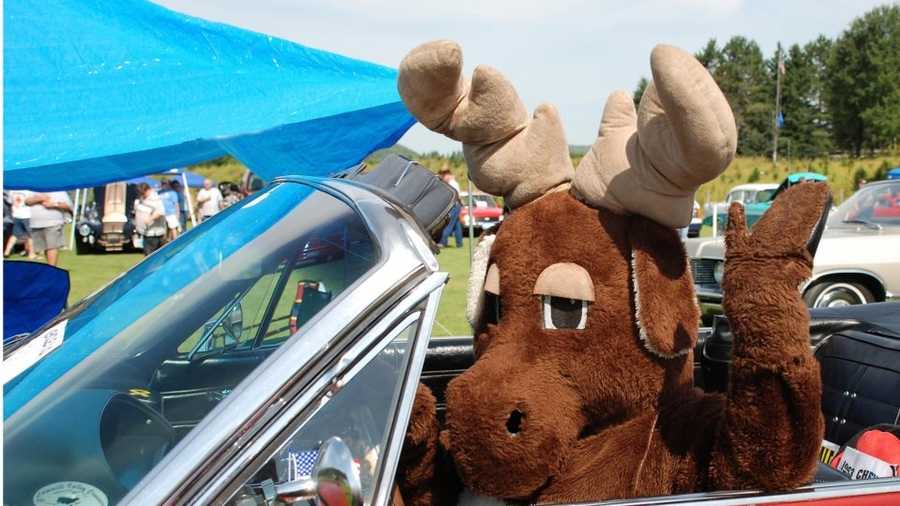 The Moose Festival is this weekend