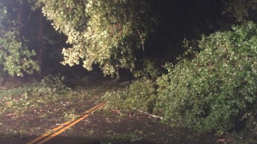 Severe storms bring down trees, power lines in Massachusetts