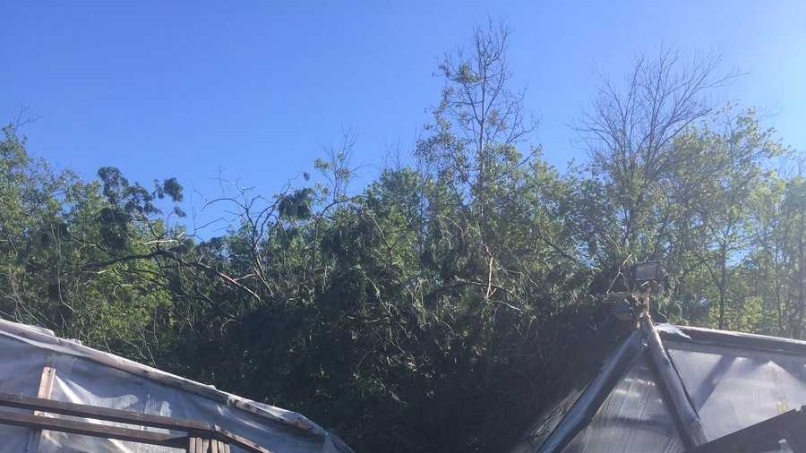 Severe storms bring down trees, power lines in Massachusetts