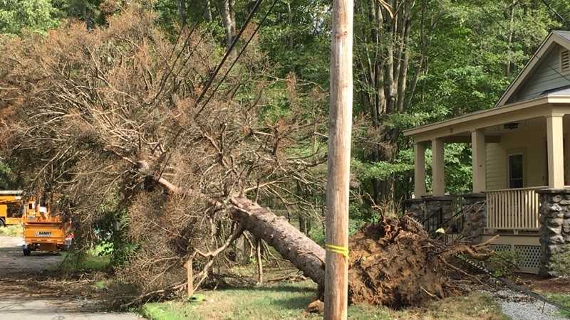 Severe storms bring down trees, power lines in Massachusetts