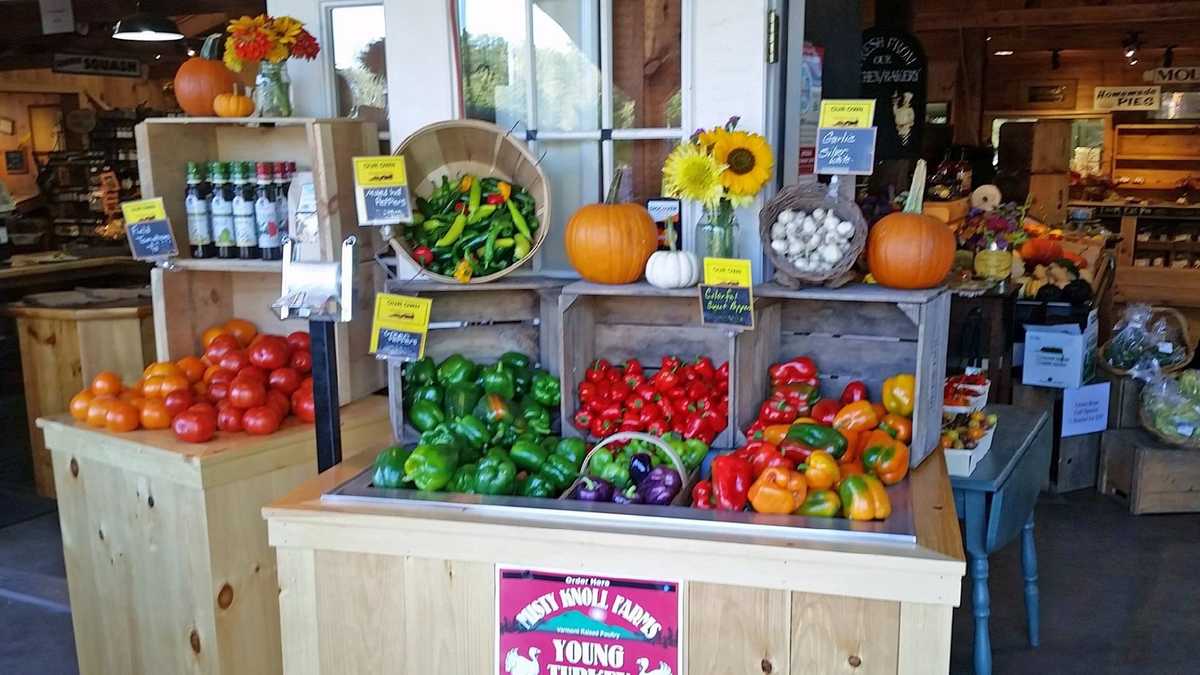 Viewers' Choice 2016 Best apple cider doughnut in New Hampshire