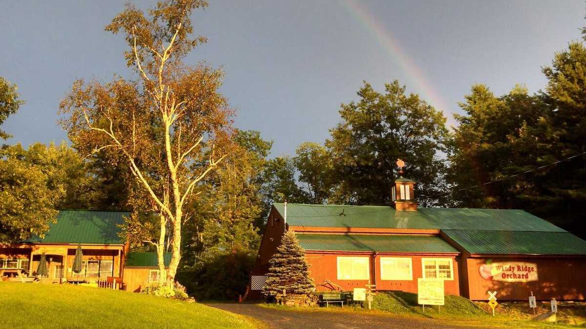 Viewers' Choice 2016 Best apple cider doughnut in New Hampshire