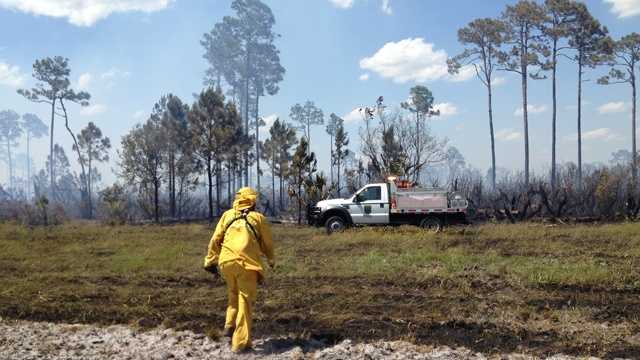 Firefighters monitor for hot spots after an 80-acre brush fire in St. Lucie County. (Cathleen O'Toole/WPBF)