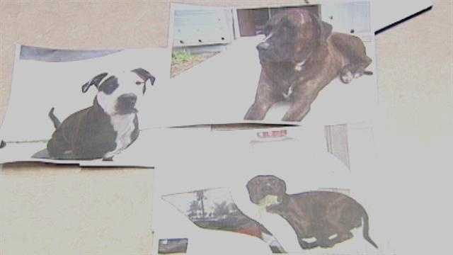 These pictures are the only way Cathy Thomas can remember her dogs now after they were shot and killed by deputies.
