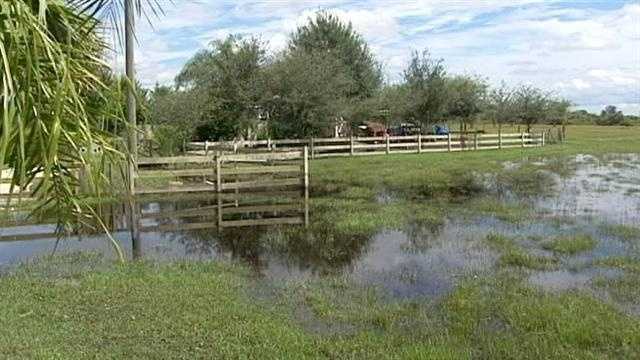 Nearly a month after Tropical Storm Isaac brought severe flooding to Okeechobee County, Amelia Bugarelli s farm is still flooded.
