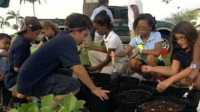 Students at North Grade Elementary School in Lake Worth are getting their hands dirty by planting healthy vegetables.
