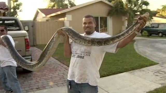 Look what two South Florida hunters found in the Everglades.