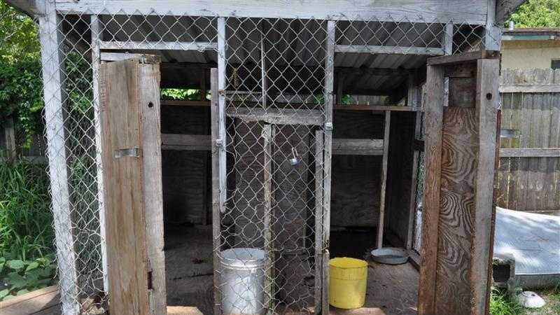 This cage is one of the cages where 12 malnourished and flea-infested pit bulls were found during a drug raid in Indian River County.