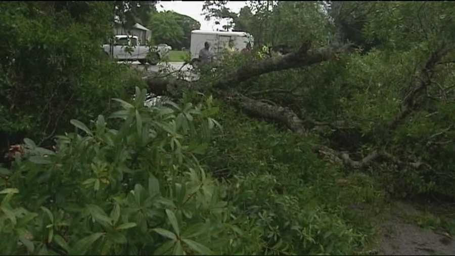 Mother Nature didn't forget about the Treasure Coast on Thursday. Heavy rain and a downed tree or two were among the headlines there.
