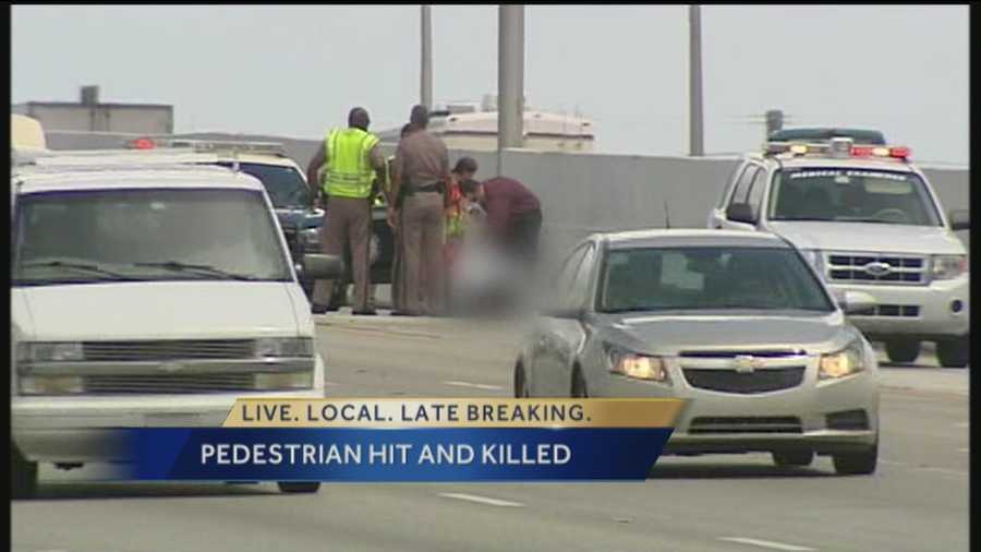 A woman is struck and killed by a van after walking into traffic on Interstate 95 in Riviera Beach.