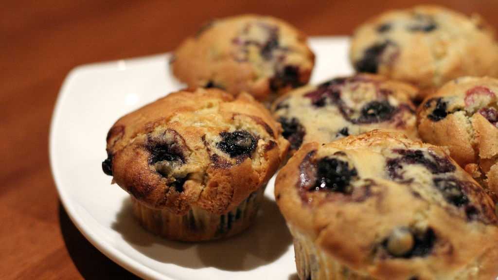 fun-facts-national-blueberry-muffin-day