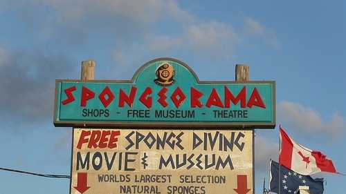 Spongeorama in Tarpon Springs: Founded in 1968, Spongeorama's sponge factory boasts the world's largest selection of natural sea sponges.  Guests can visit the Spongeorama museum, or the movie theater to learn more about the history of sponging in Tarpon Springs.