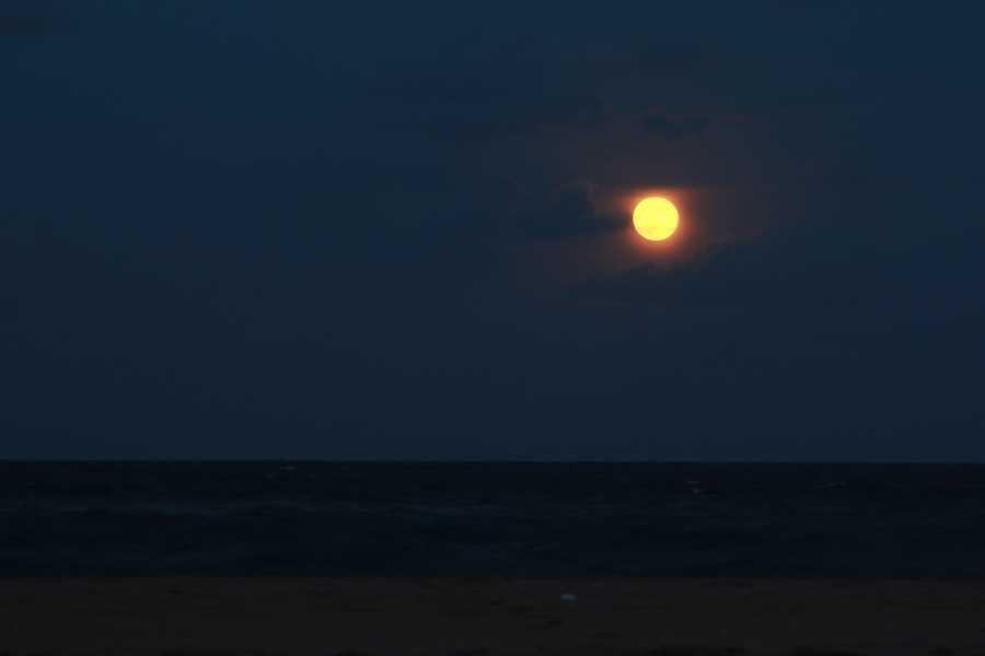 Images Full moon rises over Palm Beach