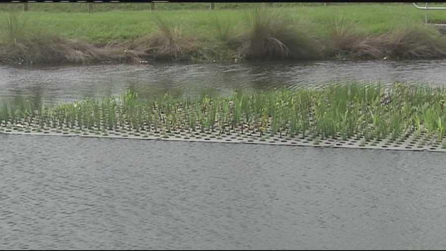 Martin County is turning to floating, self-foam mats to clean the toxins in the water before it reaches the St. Lucie River.