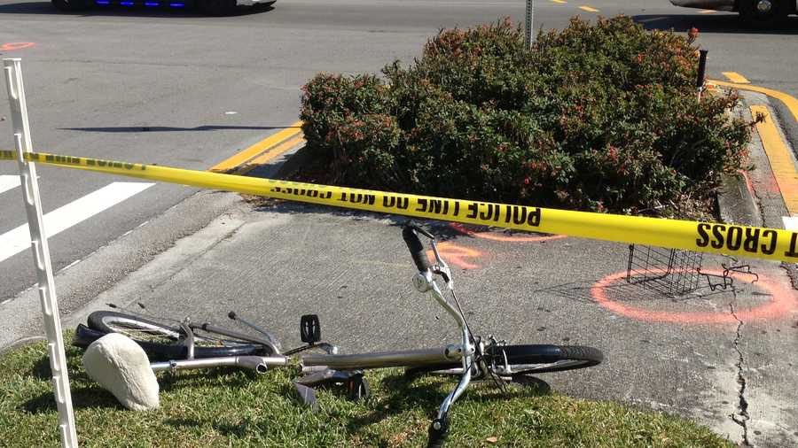 Adolf Lemp, 86, was struck by a car and killed while riding his bicycle in Port St. Lucie.