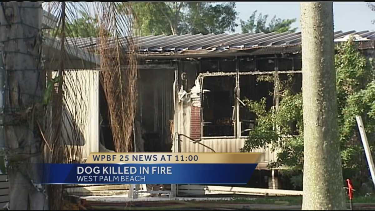 Dog dies in mobile home fire