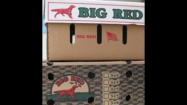 Fresh tomatoes shipped in these boxes from Big Red Tomato Packers have been voluntarily recalled because of concerns about salmonella contamination.