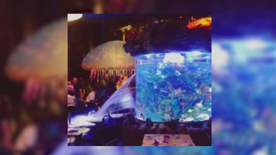 The aquarium at the T-Rex Cafe in Downtown Disney burst during dinner Monday night.