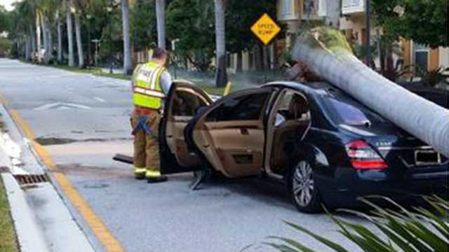 Police are looking for the owner of this car, who apparently left it abandoned in Boynton Beach after crashing it into a palm tree Wednesday morning.