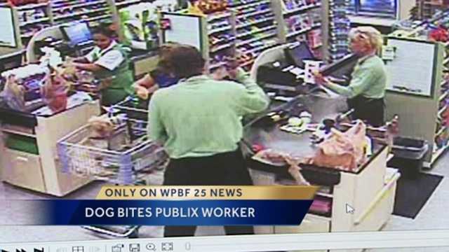 A woman's small dog bit a worker in a Palm Beach Publix supermarket. The incident was all caught on the store's video surveillance. The owner says this isn't the first time "Martini" has bitten someone.