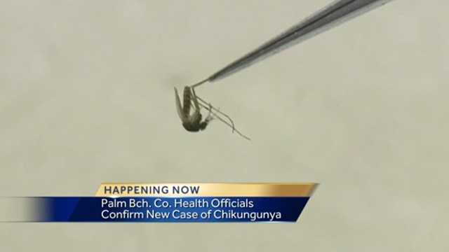 A health official gives tips on how folks can protect themselves now that the first case of Chikungunya fever has been confirmed in Palm Beach County.