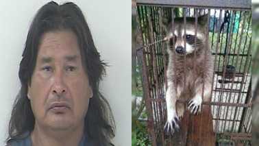 Port St. Lucie Police arrested David Watson during a drug bust for possession of Human Growth Hormone (HGH), cocaine and marijuana. Police also found a raccoon inside a birdcage during a search warrant in Port St. Lucie.