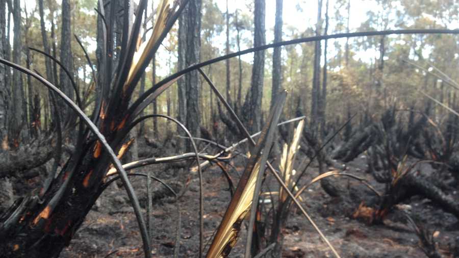 Firefighters are remaining extremely cautious after Wednesday's brush fire near Indrio Road in Fort Pierce, the site of a brush fire also in the same area last year. 
