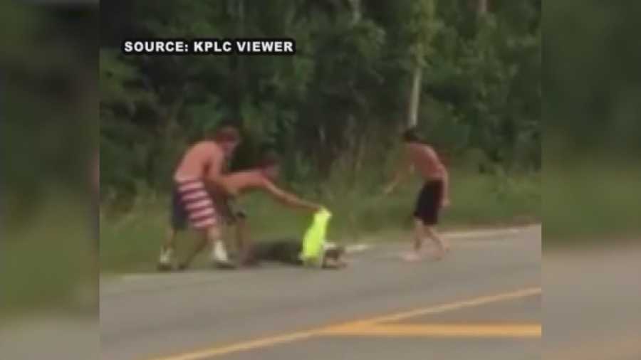 A Louisiana man received 80 stitches after he tried moving an alligator out of a roadway.