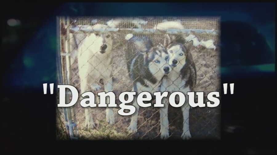 A WPBF 25 News review of Palm Beach County’s dangerous dog case files found a number of dog owners failing to comply with legal requirements imposed on them. Reporter John Dzenitis has the special report.