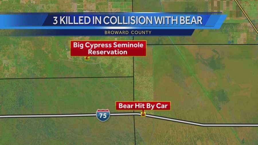Authorities with the Broward County Sheriff’s Office said a car hit a bear on Snake Road, west of Interstate 75, on Sunday. A news release indicated a car hit a black bear that was crossing the street. A second vehicle stopped to help those involved in the crash, when a third car hit the crowd and crushed the first car.
